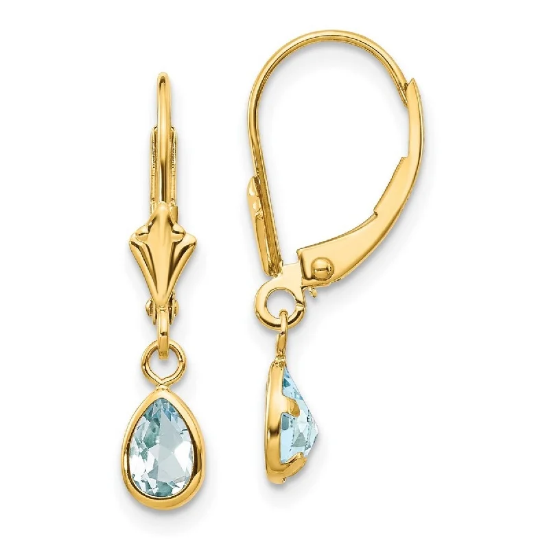 Curata 14k Yellow Gold Bezel Polished Leverback Aquamarine Earrings March 23x4mm