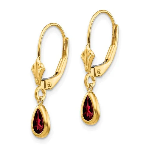 Garnet Drop Earrings in Gold